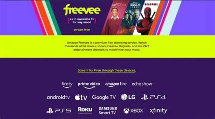 Movie streaming platform interface