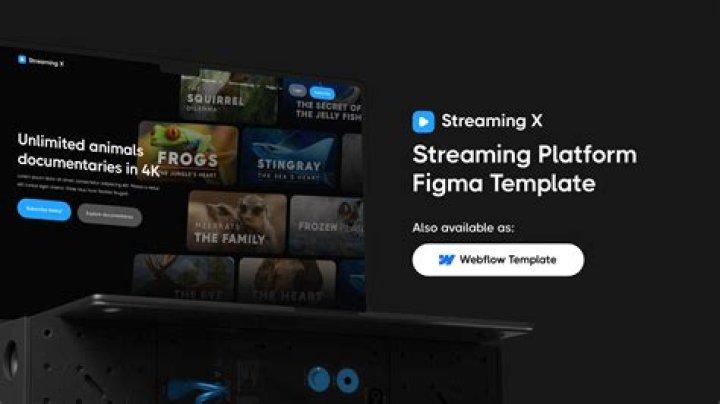Streaming platform interface