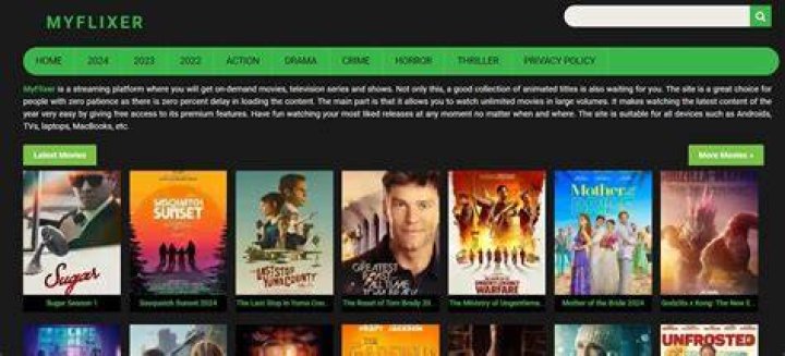 How to Use MyFlixer: Complete Beginner's Guide to Free Streaming
