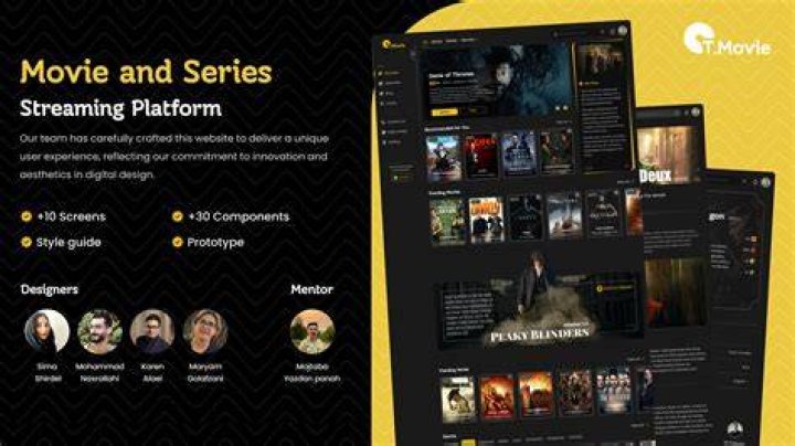 Streaming platform interface