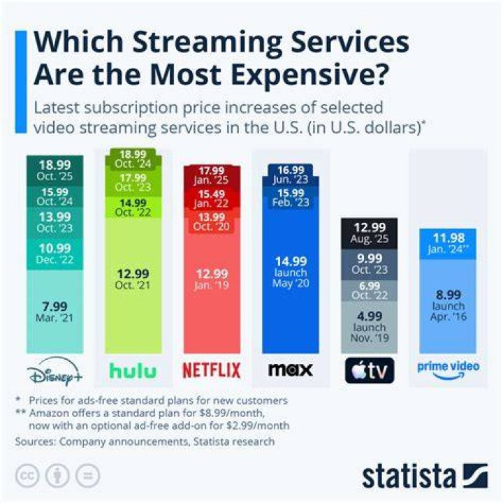 Streaming service subscription costs
