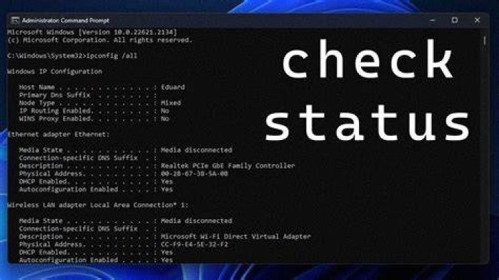 Server status verification
